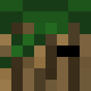 Image for CaptainTree Minecraft Player