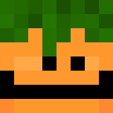 Image for Carrotto Minecraft Player