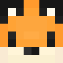 Image for Casifox Minecraft Player