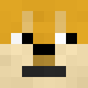 Image for Castform Minecraft Player