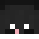 Image for Chairperson Minecraft Player