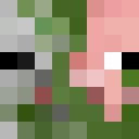 Image for Chiellini Minecraft Player