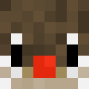 Image for Chraos Minecraft Player