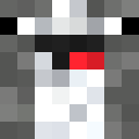 Image for Cocaaa Minecraft Player