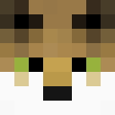 Image for ColoradoCoyote Minecraft Player