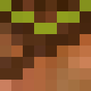 Image for Consept Minecraft Player