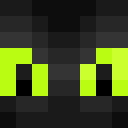 Image for Conturtle Minecraft Player