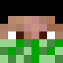 Image for CopperLlama Minecraft Player