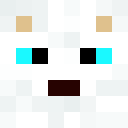 Image for Corssa Minecraft Player