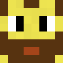 Image for Coshe Minecraft Player