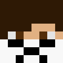 Image for CosmicGuru Minecraft Player