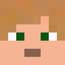 Image for CouragousCreeper Minecraft Player