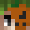 Image for Cradopaud Minecraft Player