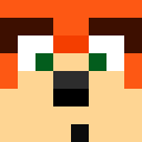 Image for CrashBandic00t Minecraft Player