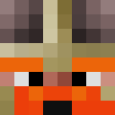 Image for CrazyPlatypus Minecraft Player