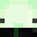 Image for Creeper_Slayer20 Minecraft Player