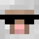 Image for Crewnoob Minecraft Player