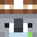 Image for Cromio Minecraft Player