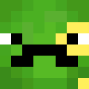 Image for Custum Minecraft Player