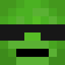 Image for D3rpyTurtle Minecraft Player