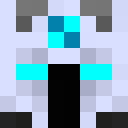 Image for DA0S Minecraft Player