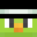 Image for DENARDI Minecraft Player