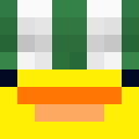 Image for DUCKPLAYZMC Minecraft Player