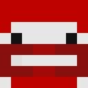 Image for DanhN Minecraft Player