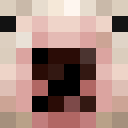 Image for DaniStinky Minecraft Player