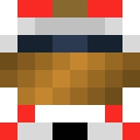 Image for DaveRoelvink Minecraft Player