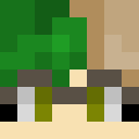 Image for DecayedLeaf Minecraft Player