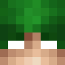 Image for Decki Minecraft Player