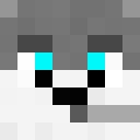 Image for DekerGL Minecraft Player