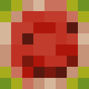 Image for Delue Minecraft Player