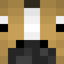 Image for Densetj12 Minecraft Player