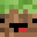 Image for Dert_ Minecraft Player