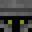 Image for DetectiveCat Minecraft Player