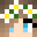 Image for Diamond_Pearl Minecraft Player