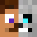 Image for Dimfish Minecraft Player