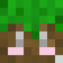 Image for DirtNymph Minecraft Player