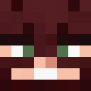 Image for Dittyy Minecraft Player