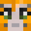 Image for DizzeFN Minecraft Player