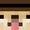 Image for DogeFlag Minecraft Player