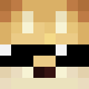 Image for DogeHax Minecraft Player