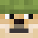 Image for DogeSoldier Minecraft Player