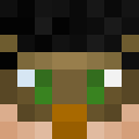 Image for Dona1d Minecraft Player