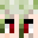 Image for Donely Minecraft Player