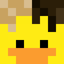 Image for DownyDuck Minecraft Player