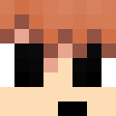 Image for Droog Minecraft Player