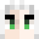 Image for DropGamer Minecraft Player